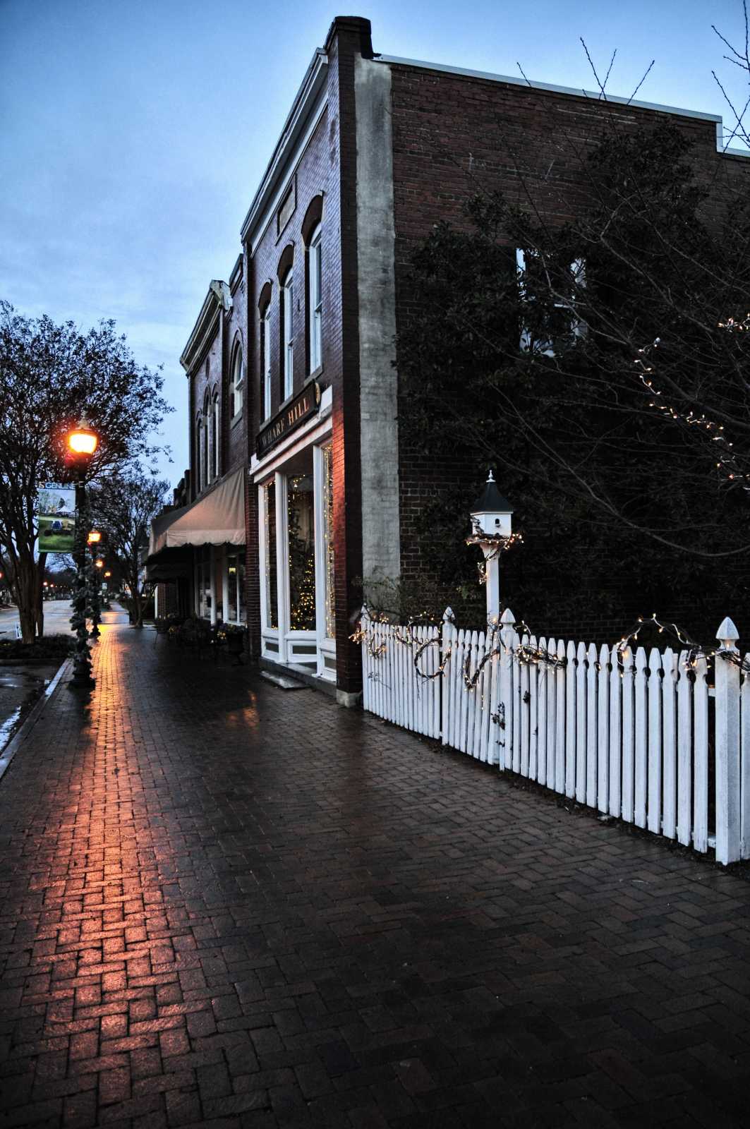 Peaceful Street by Shirley Whitenack