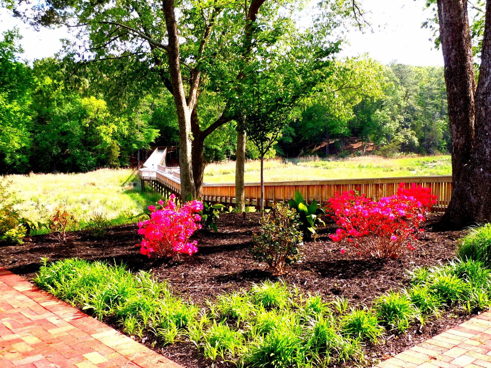 wcp waterview m eley