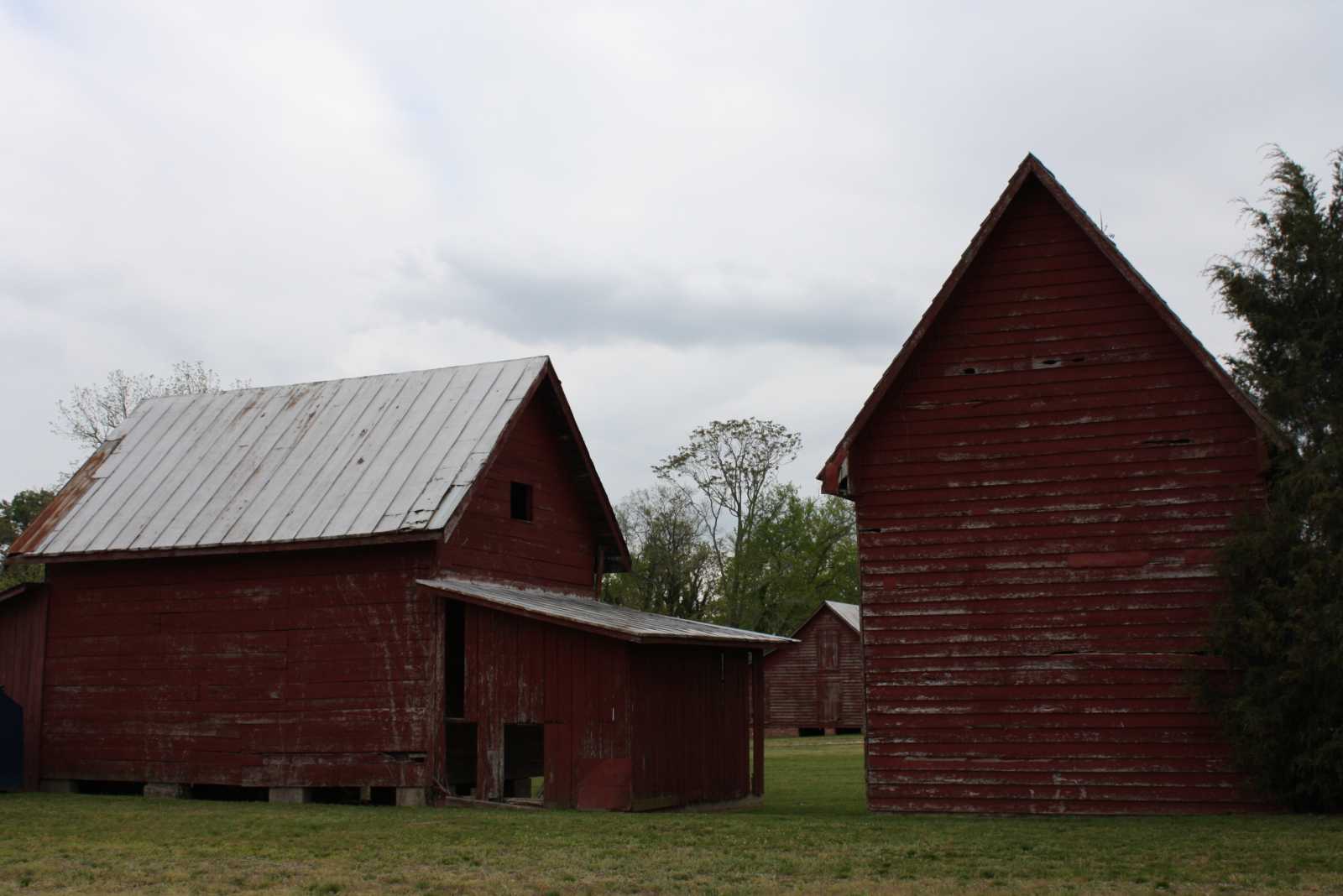 Windsor Castle Barns James Lawson